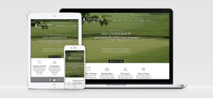 Pine Island responsive website