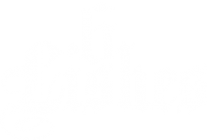 6Lishes logo
