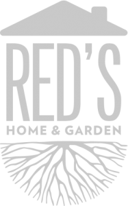 Red's logo concept 1