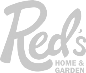 Red's logo concept 1