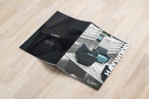 LIAT Haywood brochure